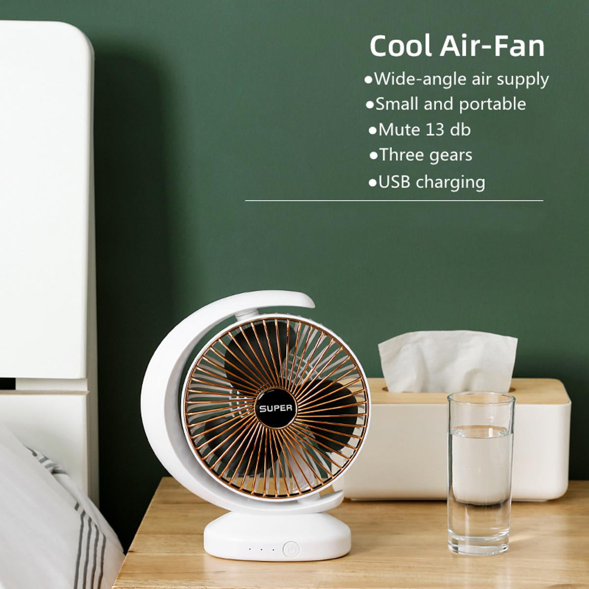 Globe Shape Fan